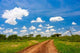 Dirt Road Wall Decal Design 1