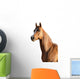 Brown Arabian Horse Wall Decal