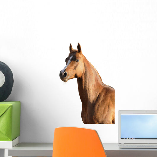 Brown Arabian Horse Wall Decal