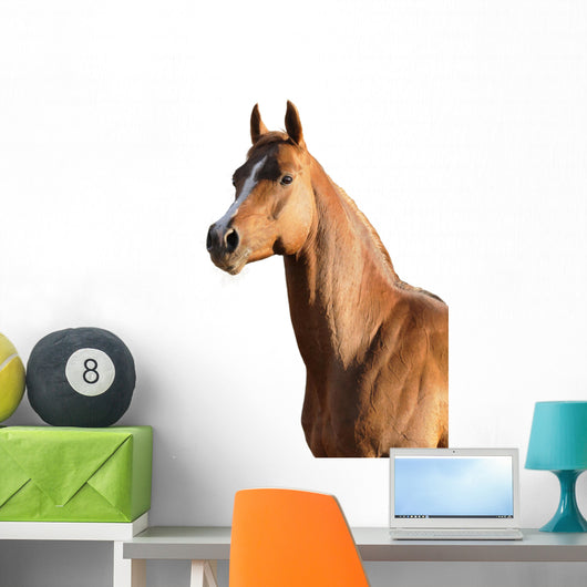 Brown Arabian Horse Wall Decal