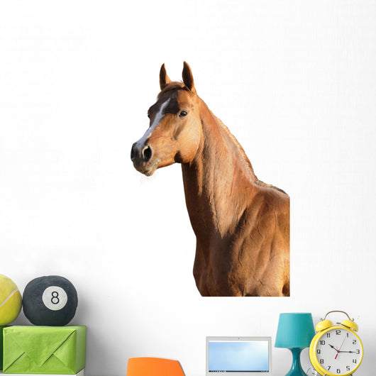 Brown Arabian Horse Wall Decal