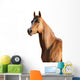 Brown Arabian Horse Wall Decal