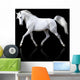 Trotting White Arabian Horse Wall Decal