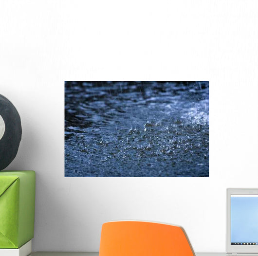 Rain Wall Decal