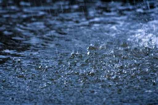 Rain Wall Decal