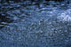Rain Wall Decal