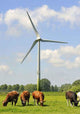 Wind Turbines and Dutch Wall Decal