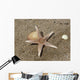 Star Sea Wall Decal