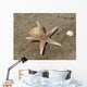 Star Sea Wall Decal