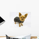 Yorkie Dog Wall Decal