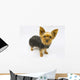 Yorkie Dog Wall Decal