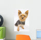 Yorkshire Terrier Dog Wall Decal