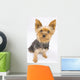 Yorkshire Terrier Dog Wall Decal