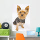 Yorkshire Terrier Dog Wall Decal