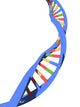 dna strand Wall Decal