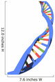 dna strand Wall Decal