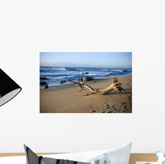 Washed up Wall Decal