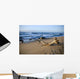 Washed up Wall Decal
