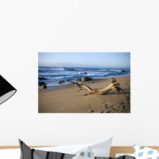 Washed up Wall Decal