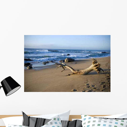 Washed up Wall Decal