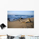 Washed up Wall Decal