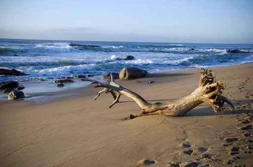 Washed up Wall Decal