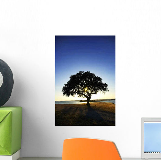 Tree Alqueva Lake Wall Decal