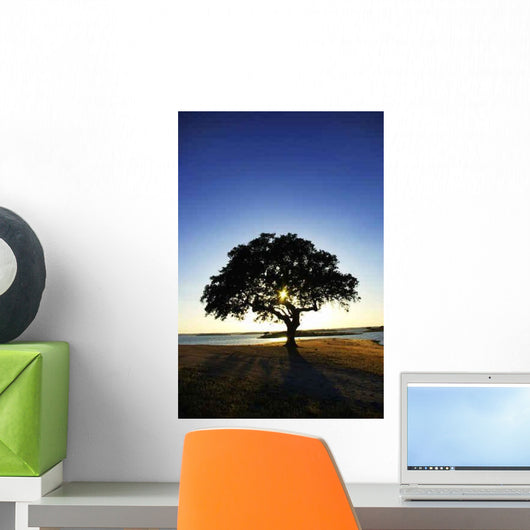 Tree Alqueva Lake Wall Decal