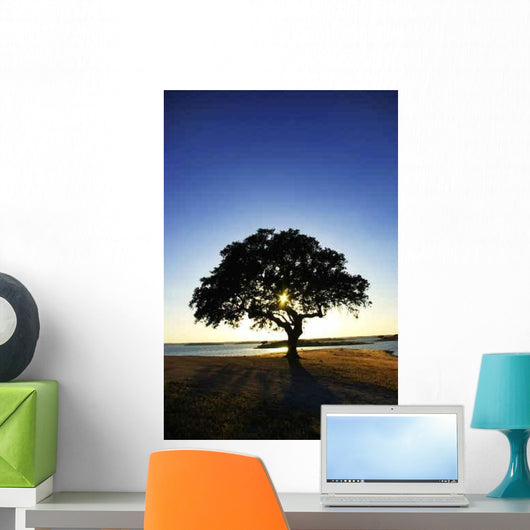 Tree Alqueva Lake Wall Decal