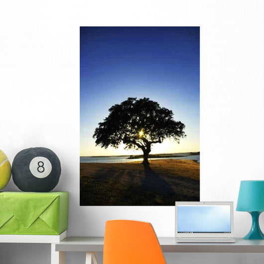 Tree Alqueva Lake Wall Decal