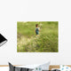Small Child Playing Wall Decal