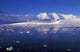 Antarctica Wall Decal