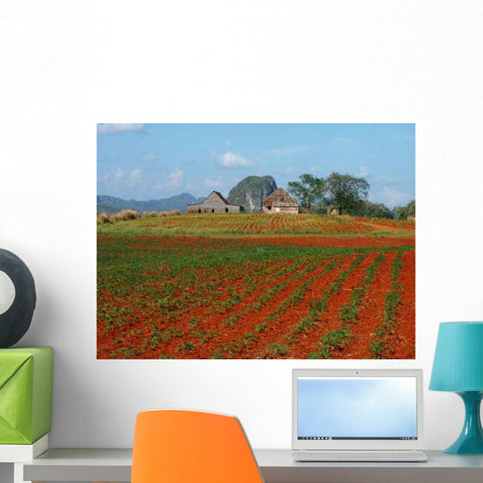 Vinales Wall Decal