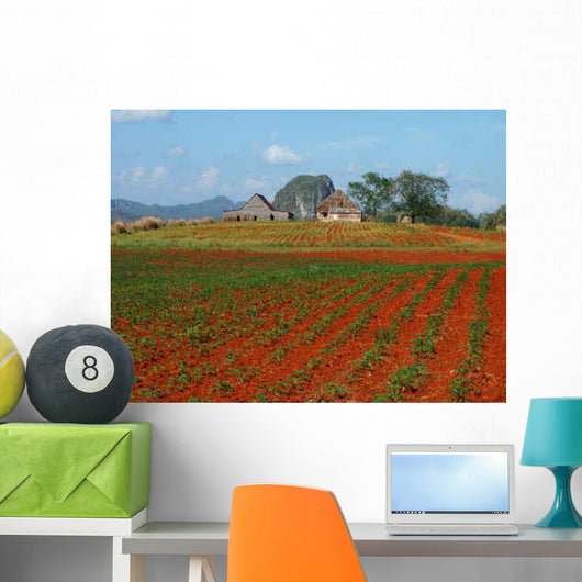 Vinales Wall Decal