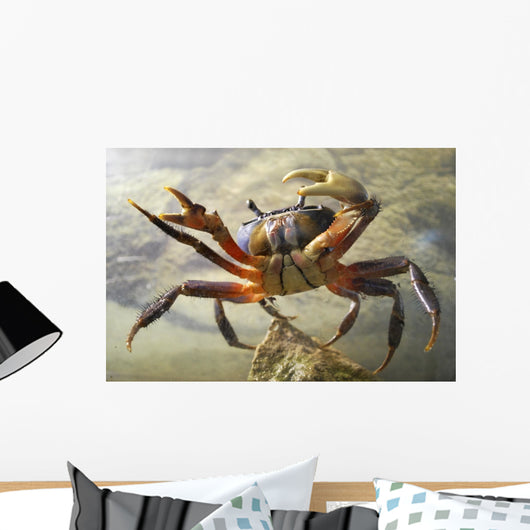 Crab Wall Decal
