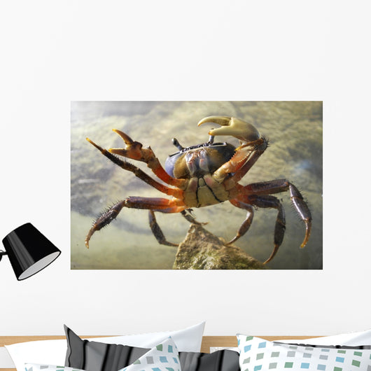 Crab Wall Decal