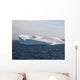 Antarktis Wall Decal