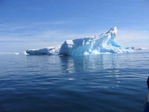 Antarctic Wall Decal Design 2