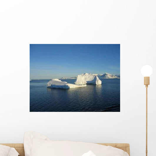 Antarctic Wall Decal Design 1