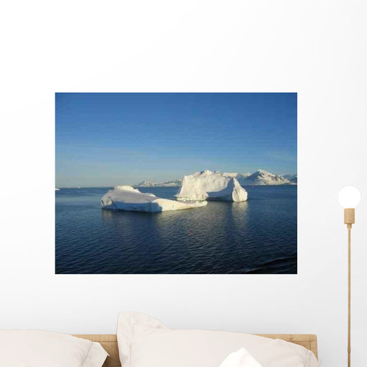 Antarctic Wall Decal Design 1