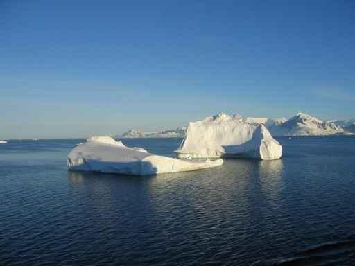 Antarctic Wall Decal Design 1