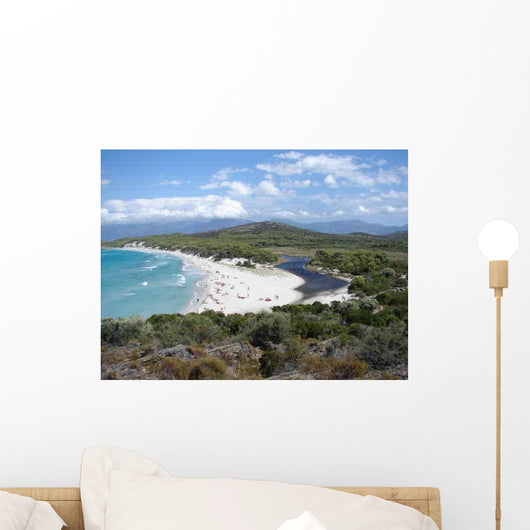 Plage Sable Saleccia En Wall Decal