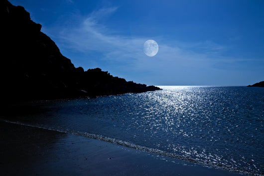 Moonlight Bay Wall Decal