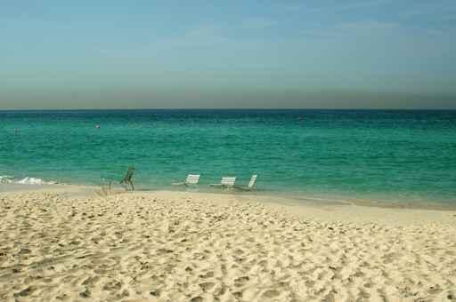 Dream Beach Wall Decal
