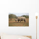 Rhino Wall Decal