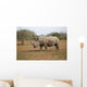Rhino Wall Decal