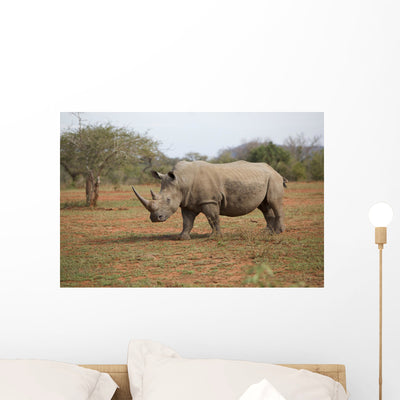 Rhino Wall Decal shown on a wall