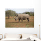 Rhino Wall Decal