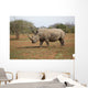 Rhino Wall Decal