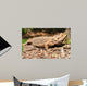 Bearded Dragon Wall Decal Design 1